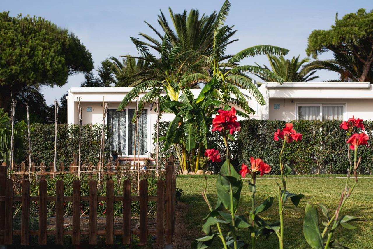 Casa rural Casara Seis O Casara Siete - Tu Casa A 100m De La Playa De *