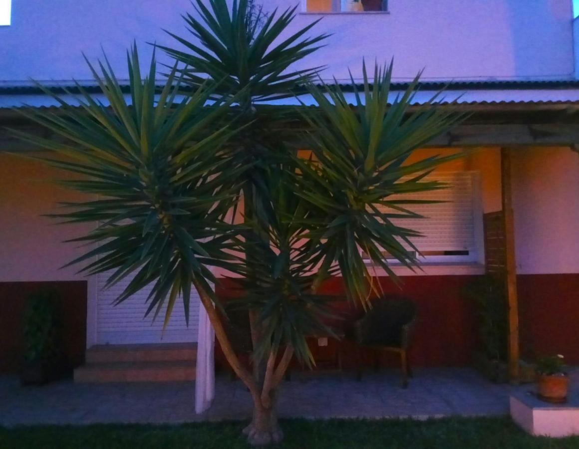 Casablanca El Petit Apartamento Deltebre