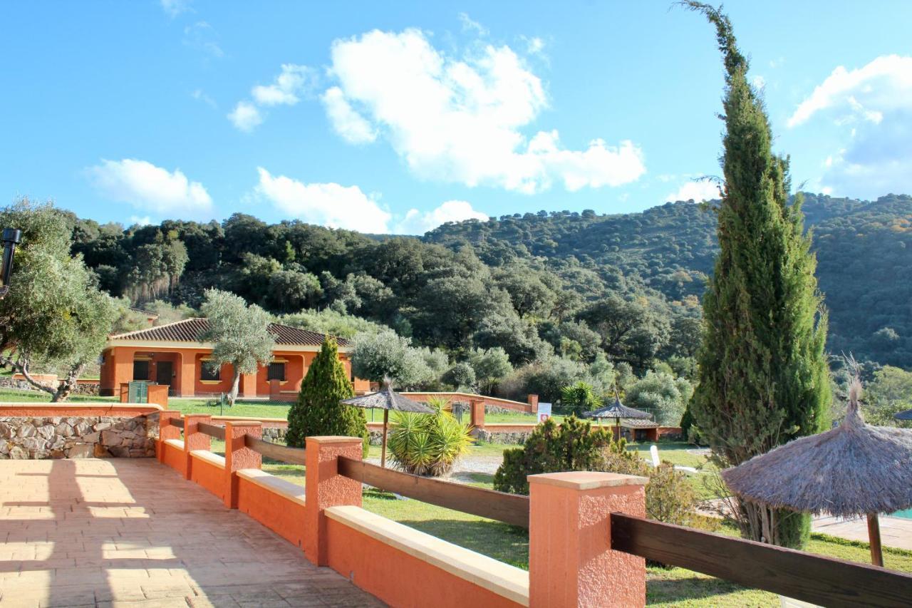 Cedro Alto Benaojan