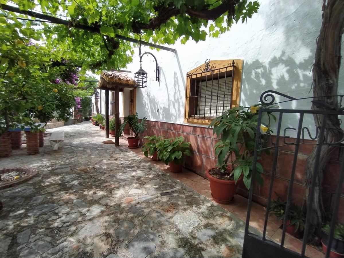 Rural Mendoza Сasa de vacaciones Martos