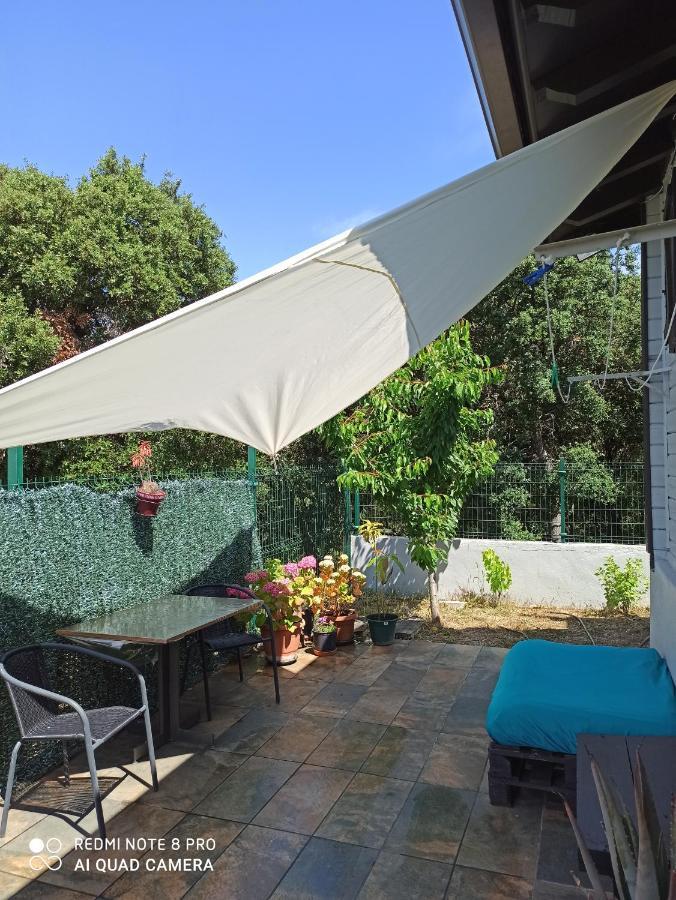 Casa Artea