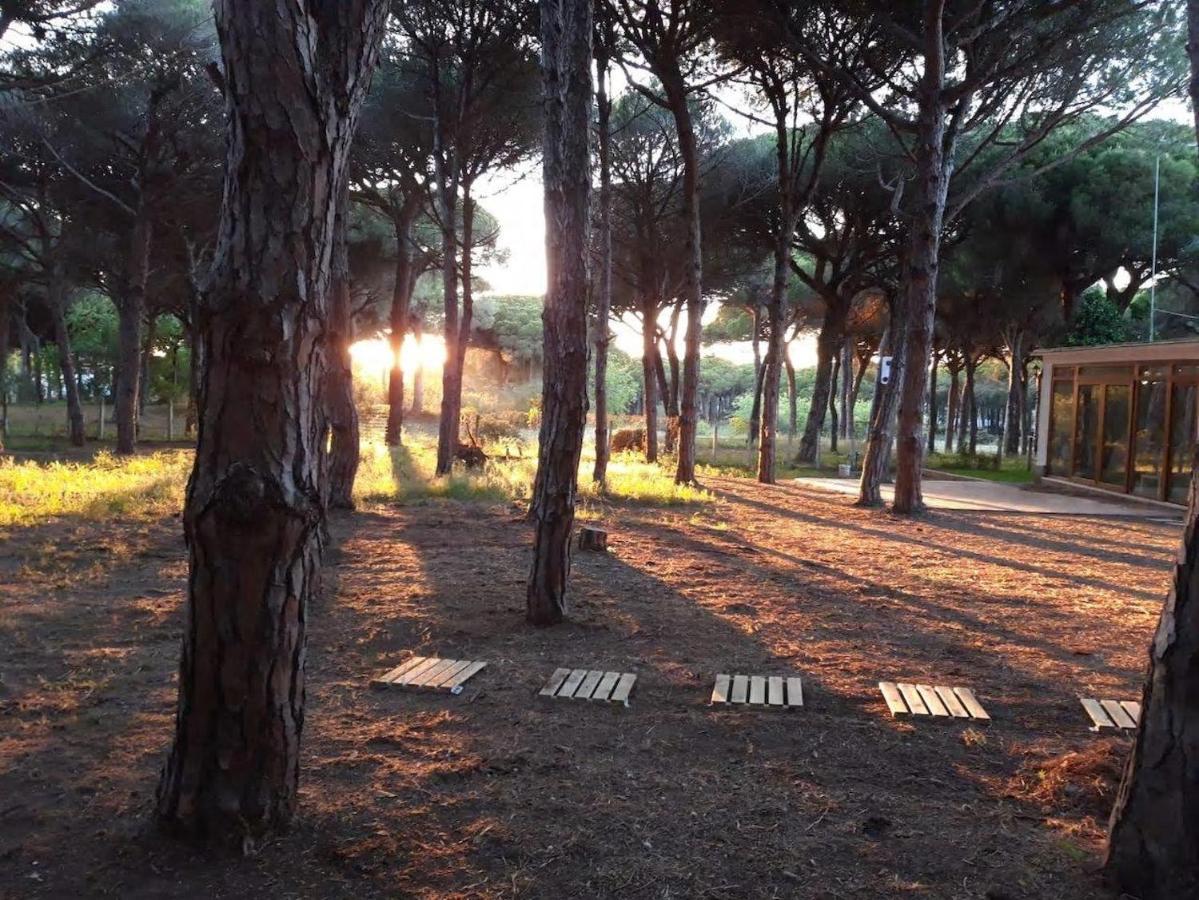 The Pineforest * Chiclana de la Frontera