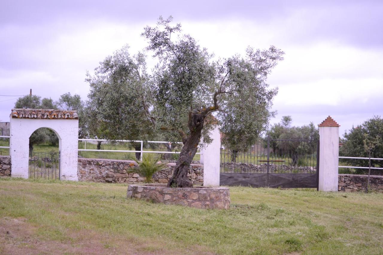 Jarales Сasa de vacaciones Casar de Cáceres