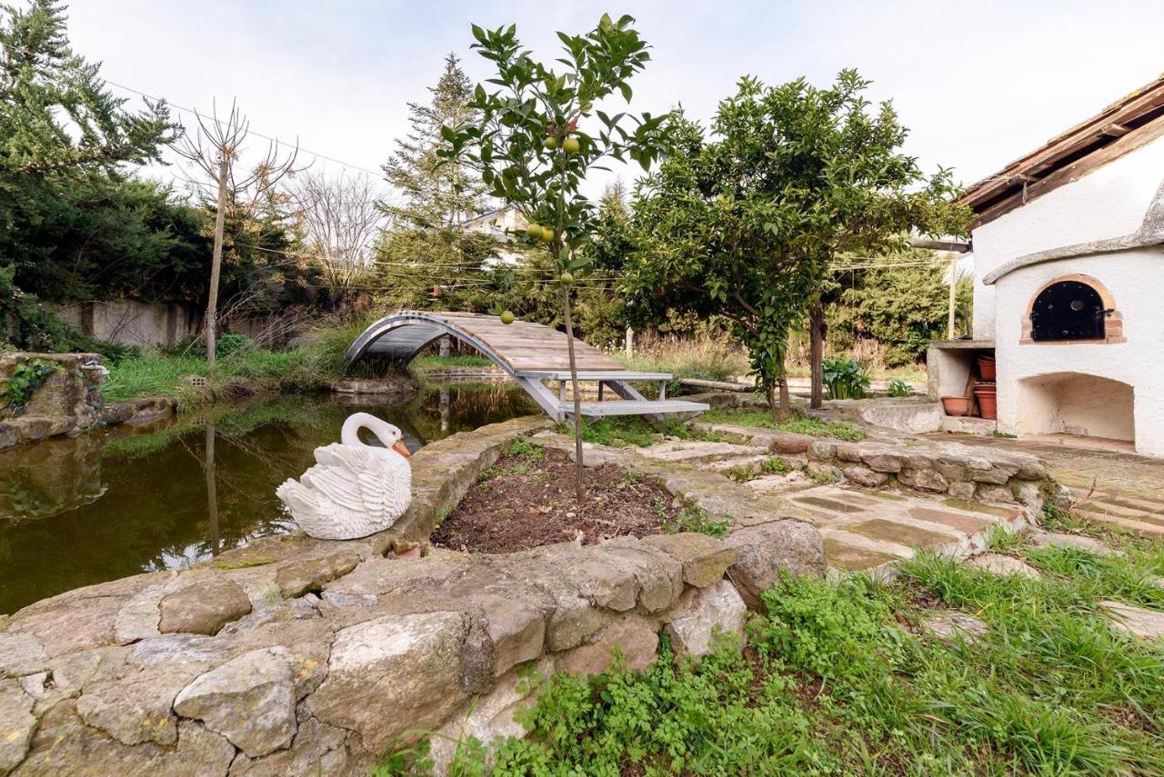 Masia Manent Del Bosc S Xviii Country house *