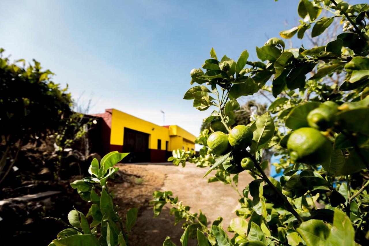 Holiday home Finca El Cercadillo Galdar