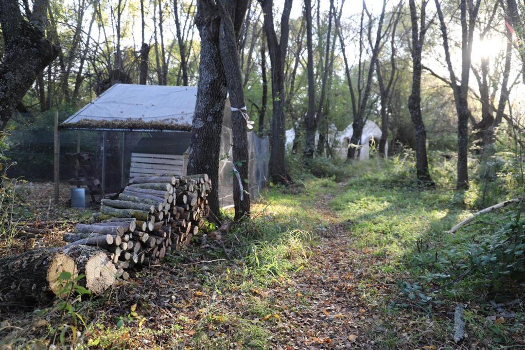 Caravalu *