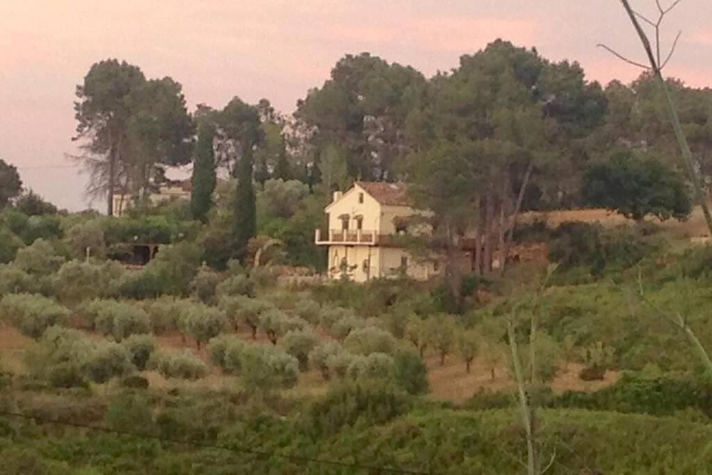 Casa La Paransa - Casa Rural Con Piscina - Relajarse Y Desconectar * Yatova