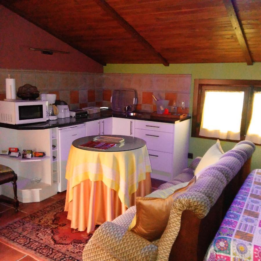 Charming In 25 Sqm Private Garden