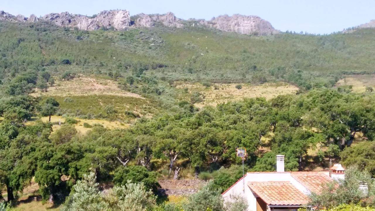 Charming In 25 Sqm Private Garden *