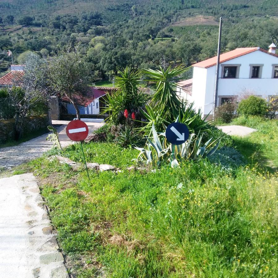 Charming In 25 Sqm Private Garden Apartamento