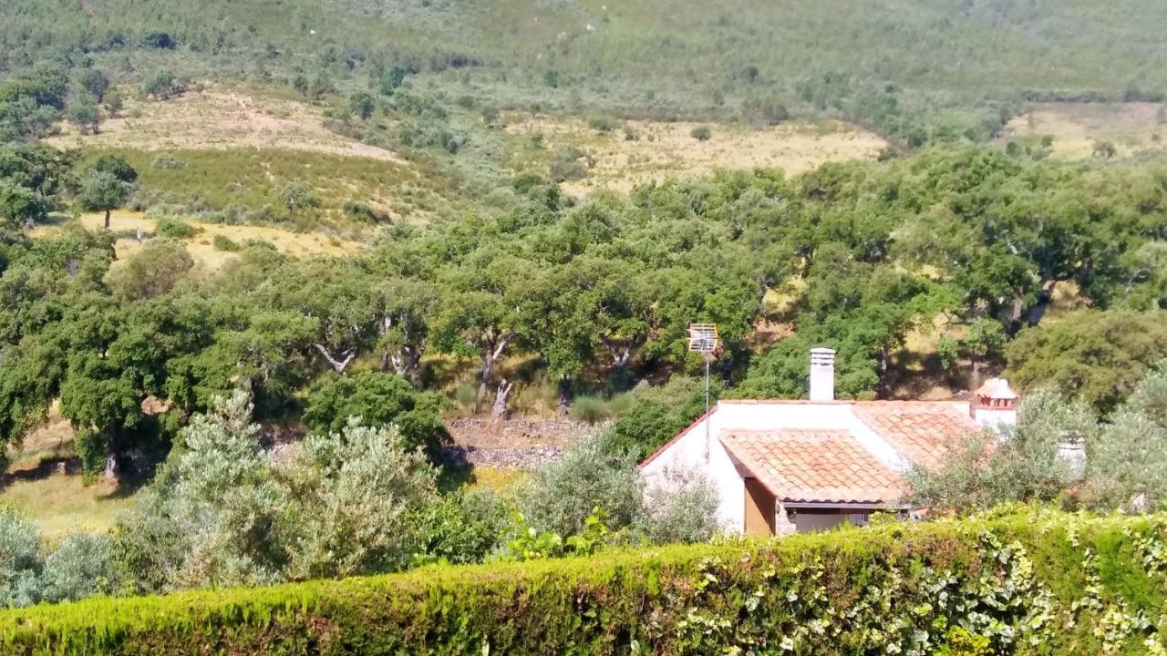 Charming In 25 Sqm Private Garden * Valencia de Alcántara