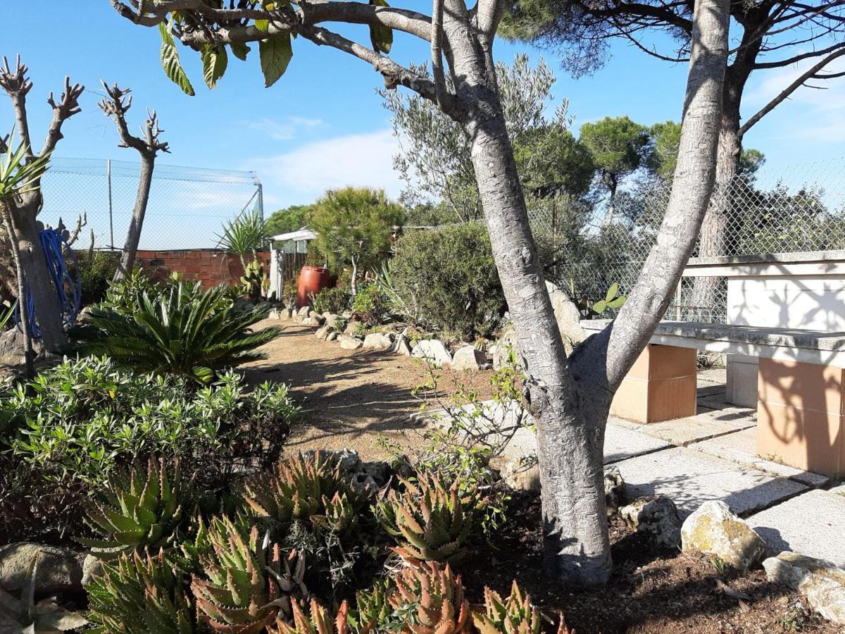 Guest house En Coliving *