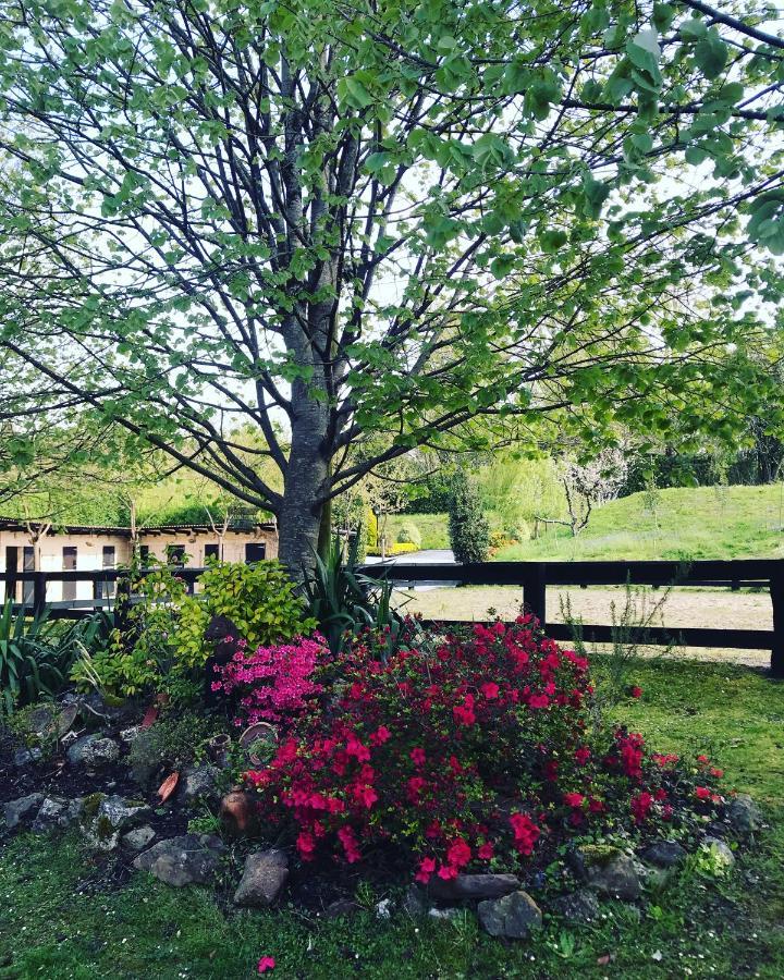 Agroturismo Anziola