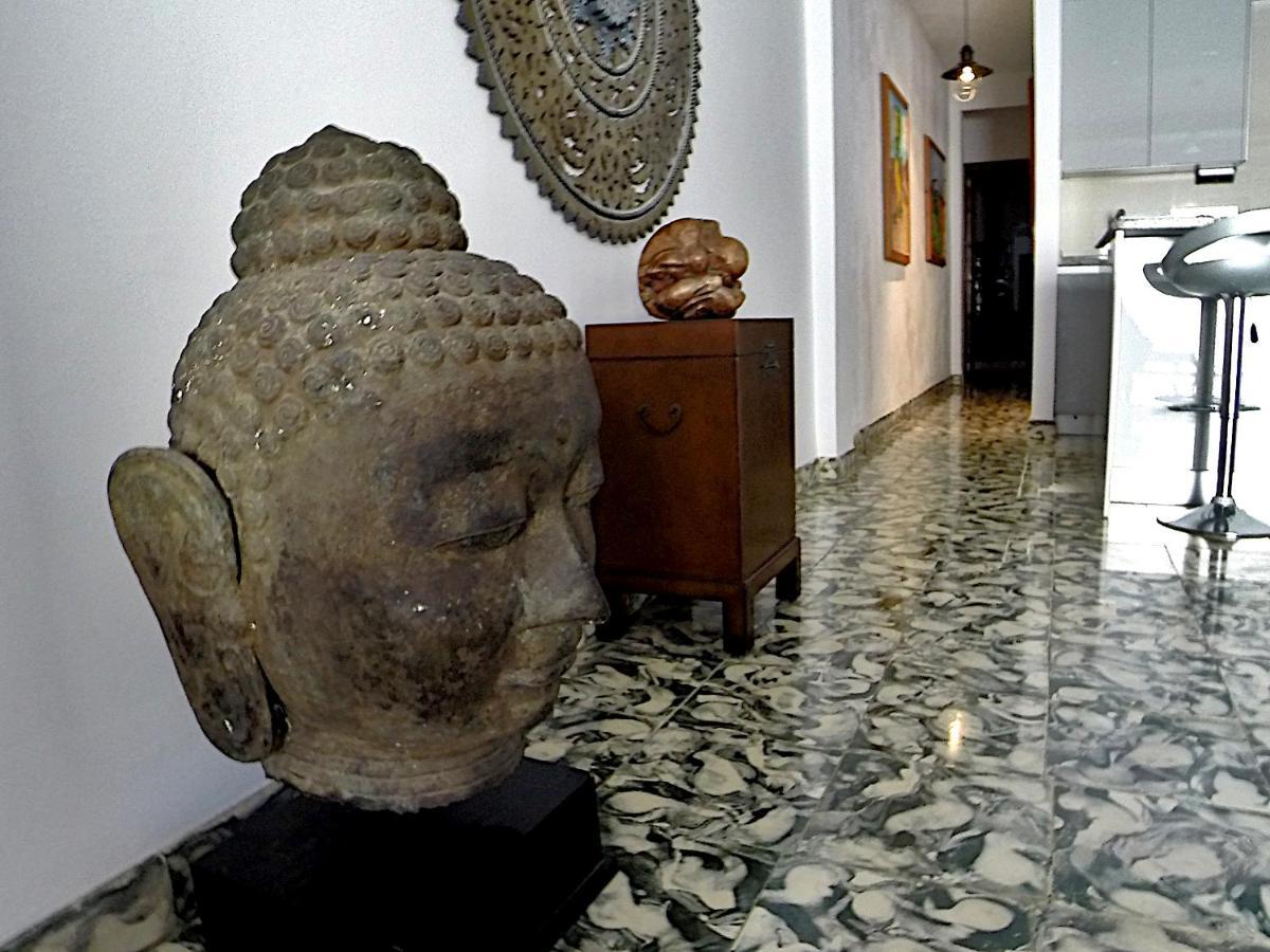 Paca Apartment