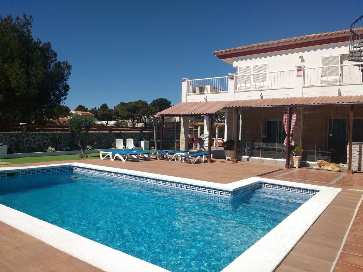 Cal53 * Calafat