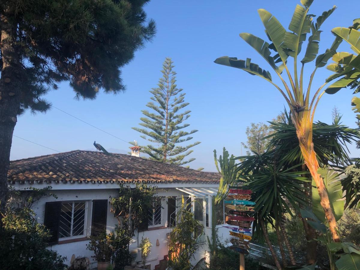 Pensión Casa Simba (adults Only) Estepona