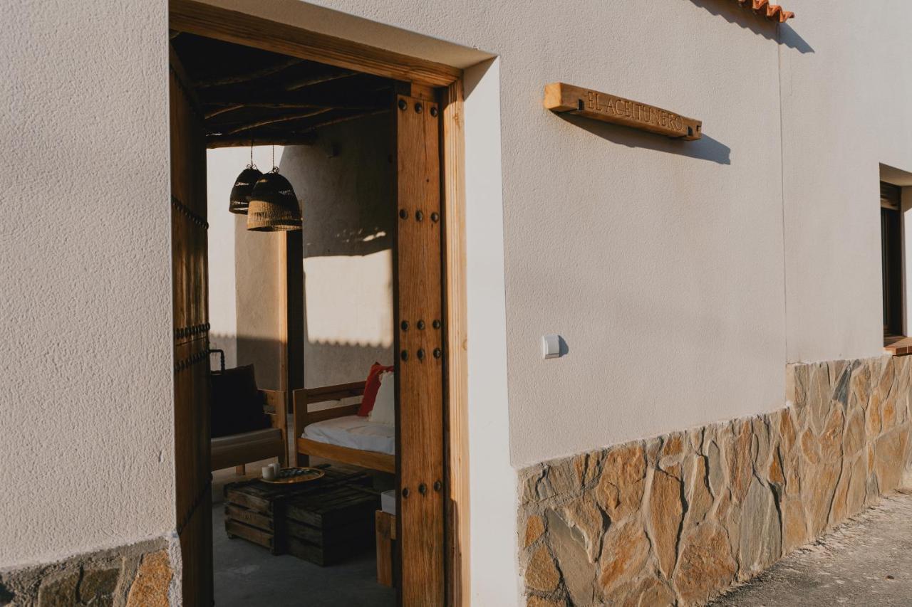 Holiday home El Aceitunero *