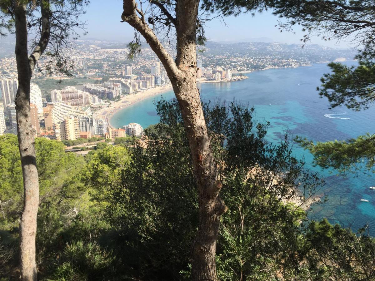 Apartamento Mesana 102 / Penthouse