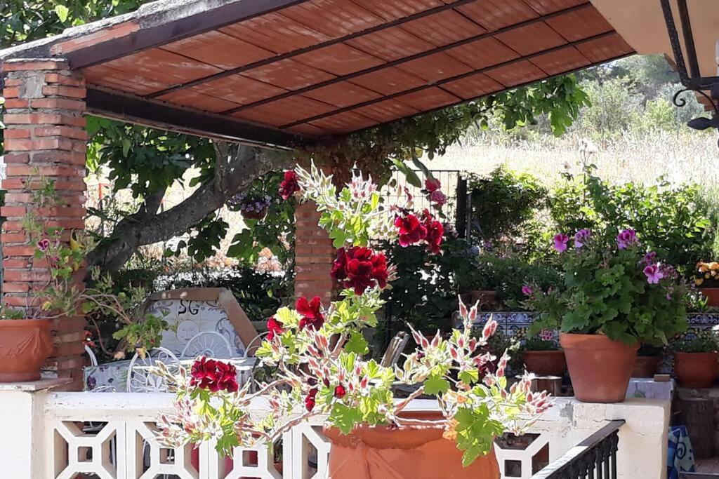 Casa La Paransa - Casa Rural Con Piscina - Relajarse Y Desconectar Holiday home *