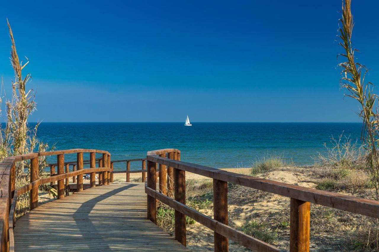 Palmera 100m Od Morza Apartment *