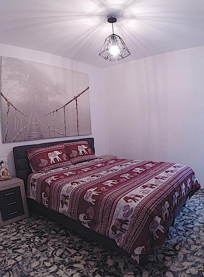 Paca Apartment *