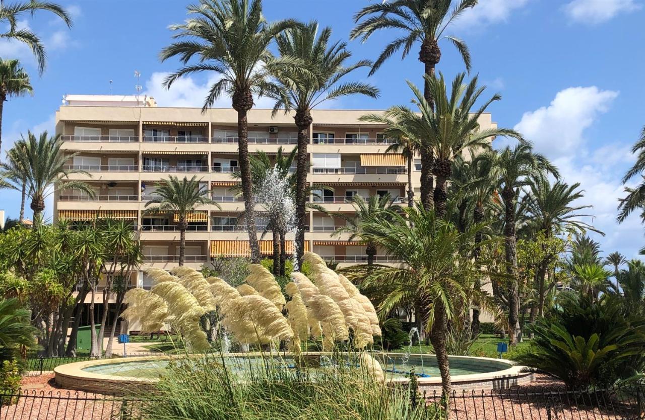 Sweet El Palmeral Locos
