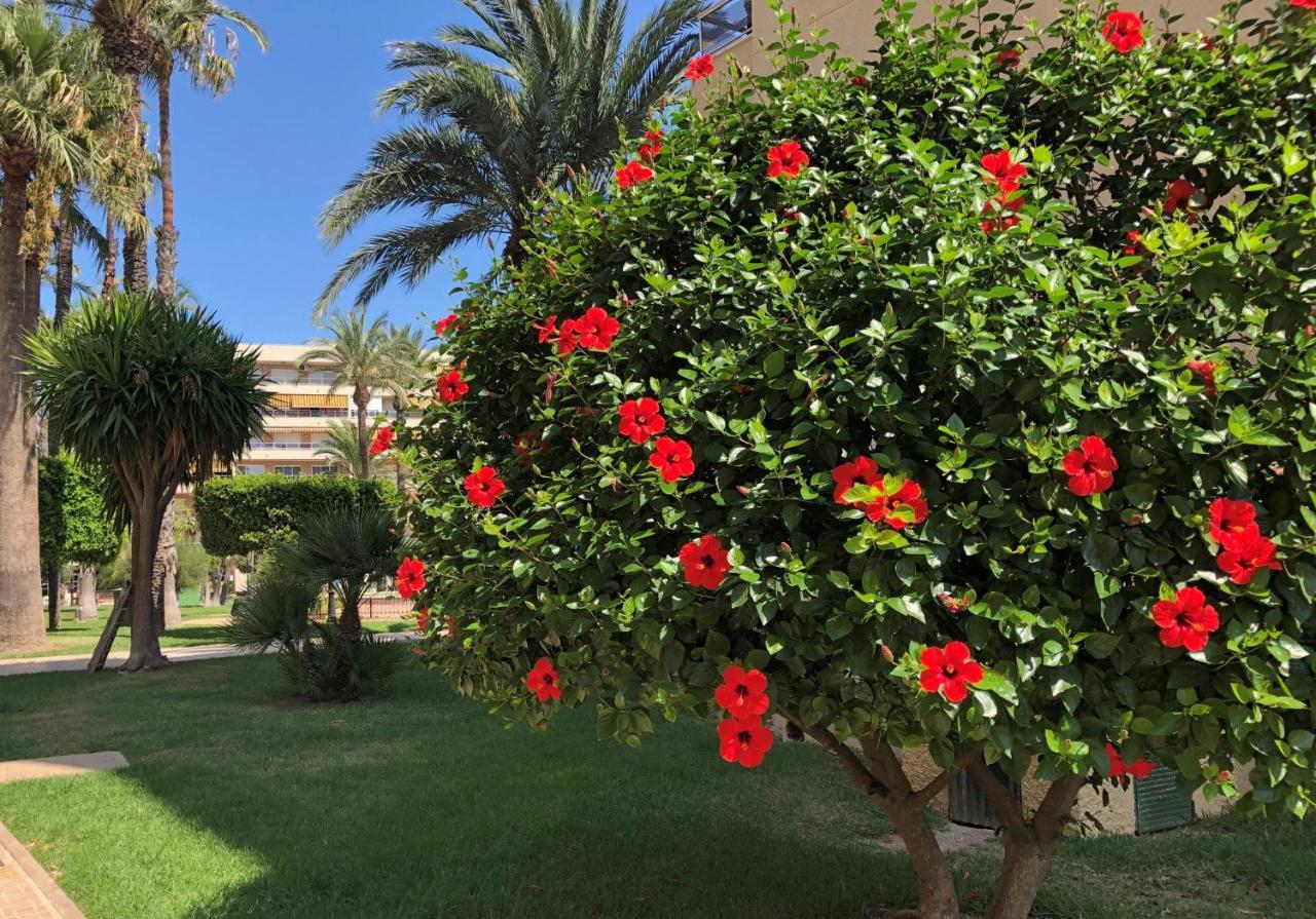 Apartment Sweet El Palmeral Locos