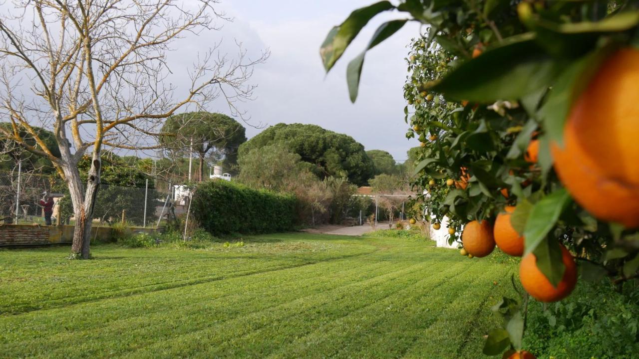 El Alfoli. Cerca Del Mar Aljaraque