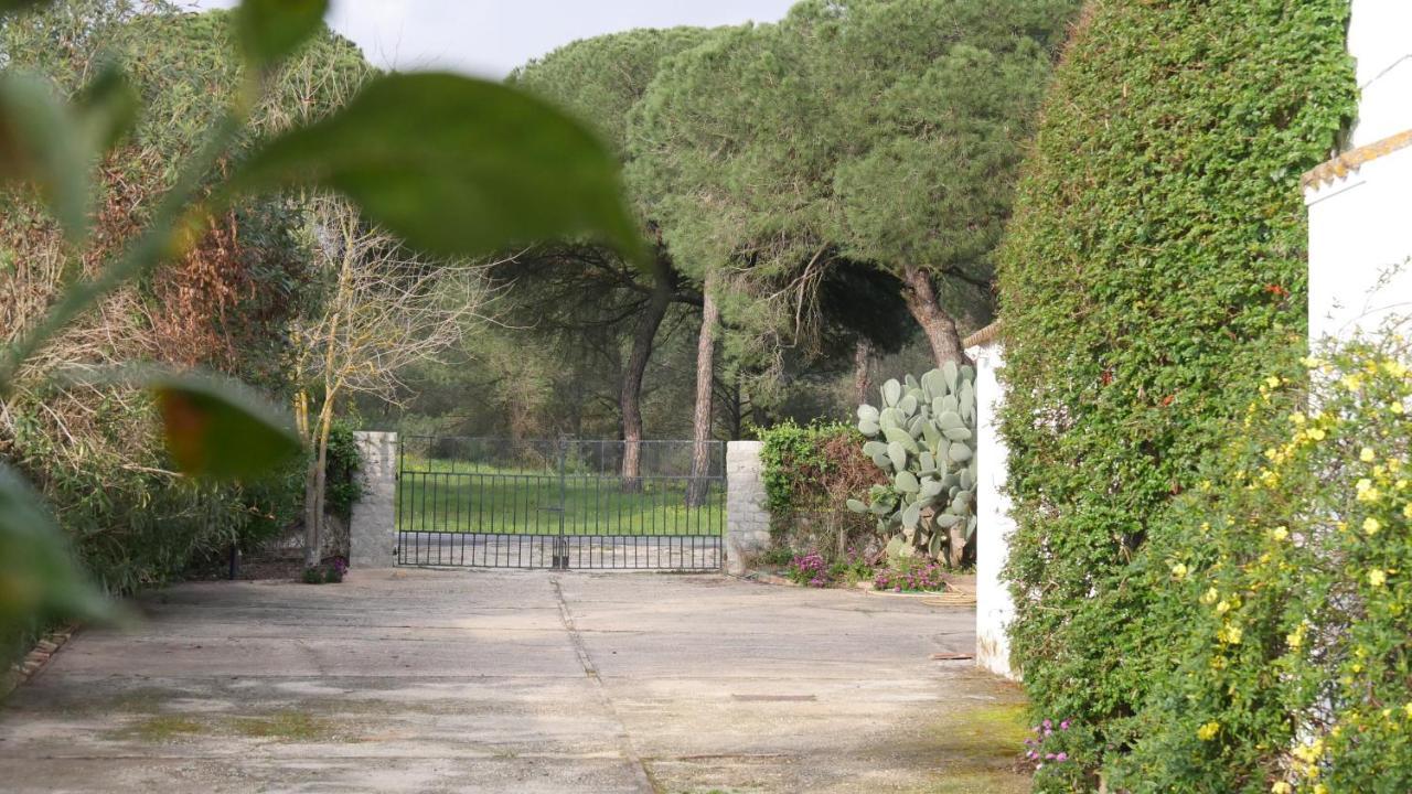 El Alfoli. Cerca Del Mar Сasa de vacaciones Aljaraque