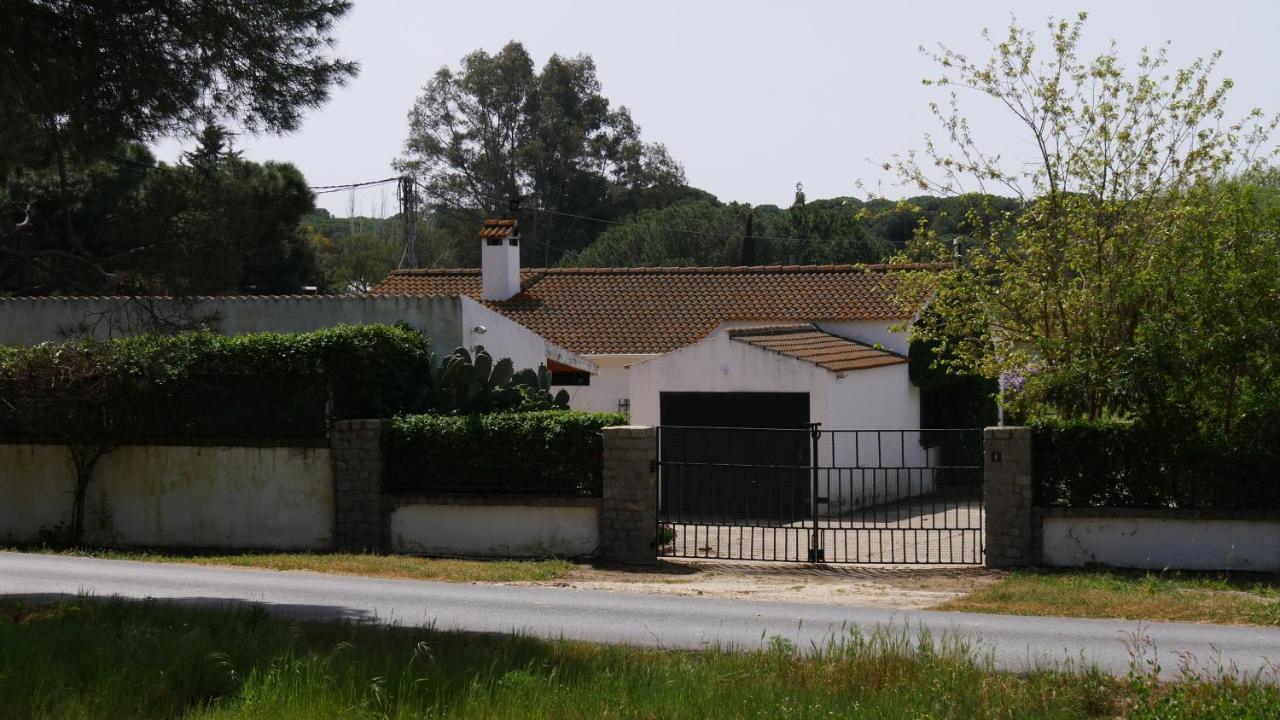 El Alfoli. Cerca Del Mar