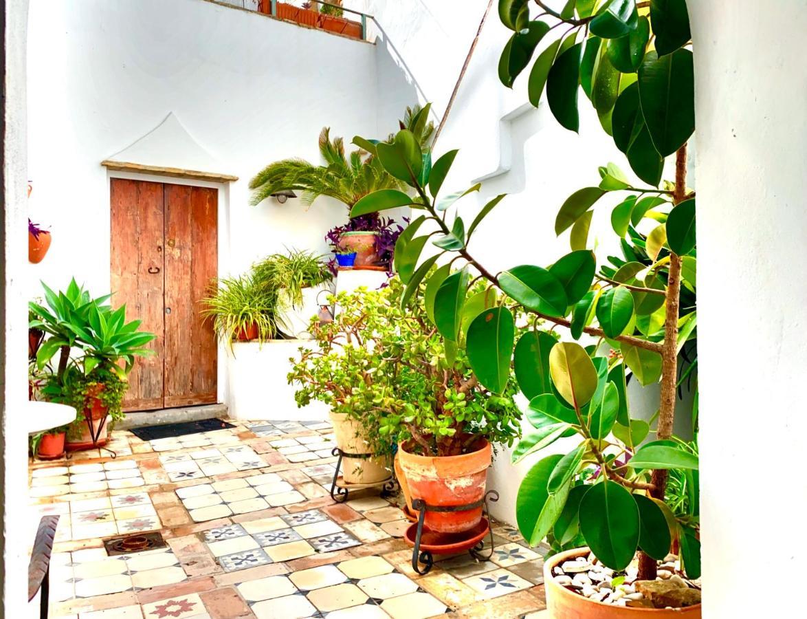 Apartamento Casa La Fuente C Casas Vejer Debra Vejer de la Frontera