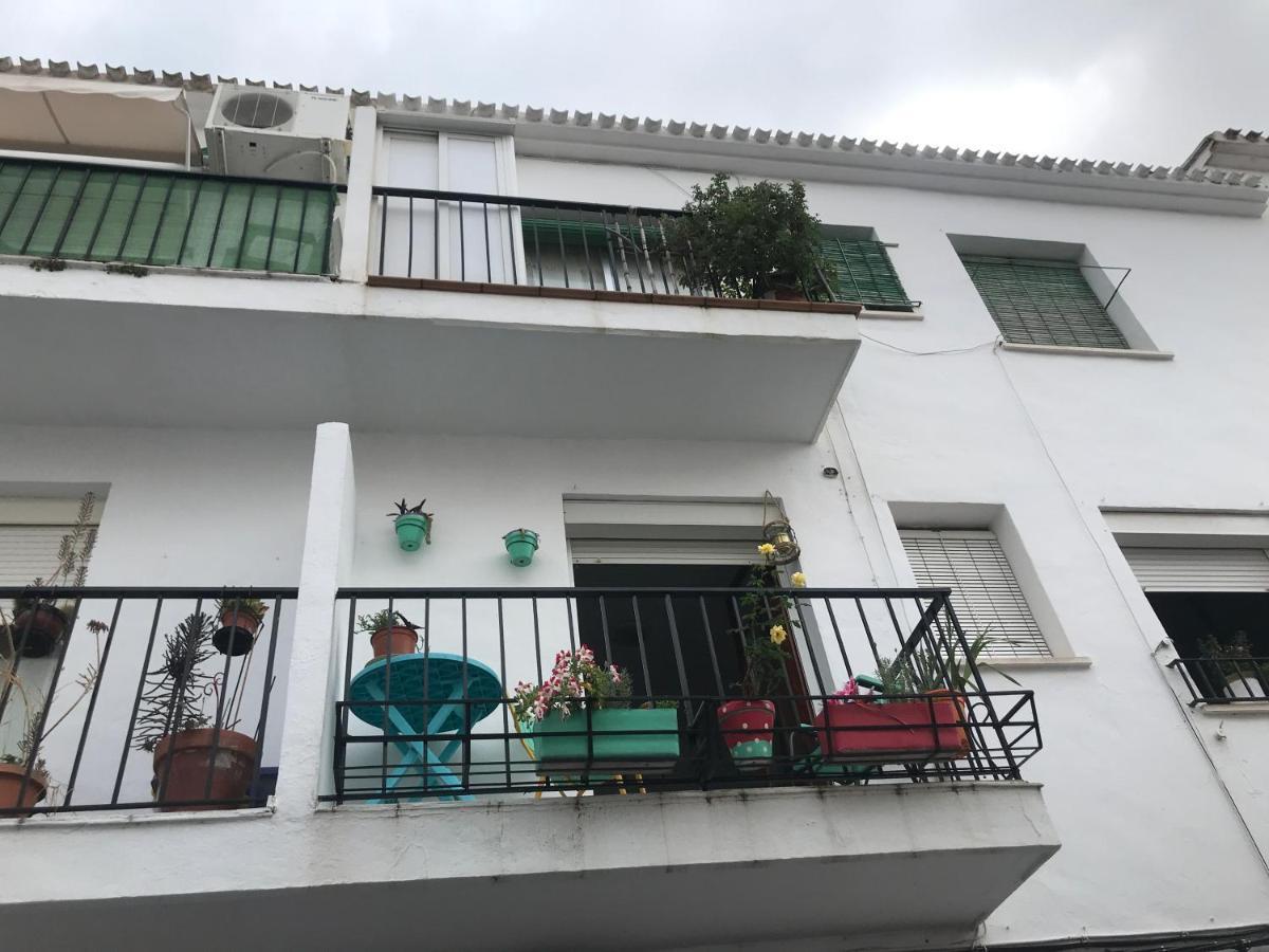 Pintores En Casco Antiguo
