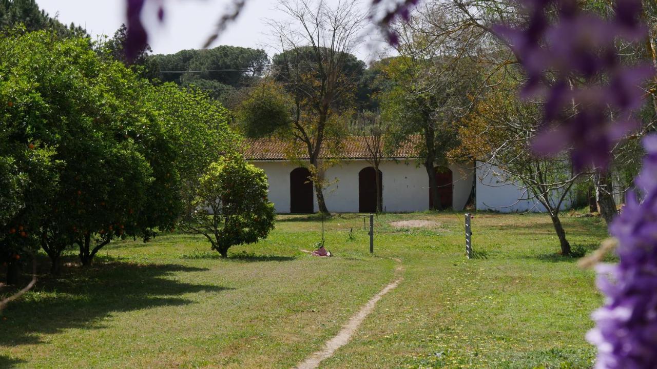 El Alfoli. Cerca Del Mar * Aljaraque
