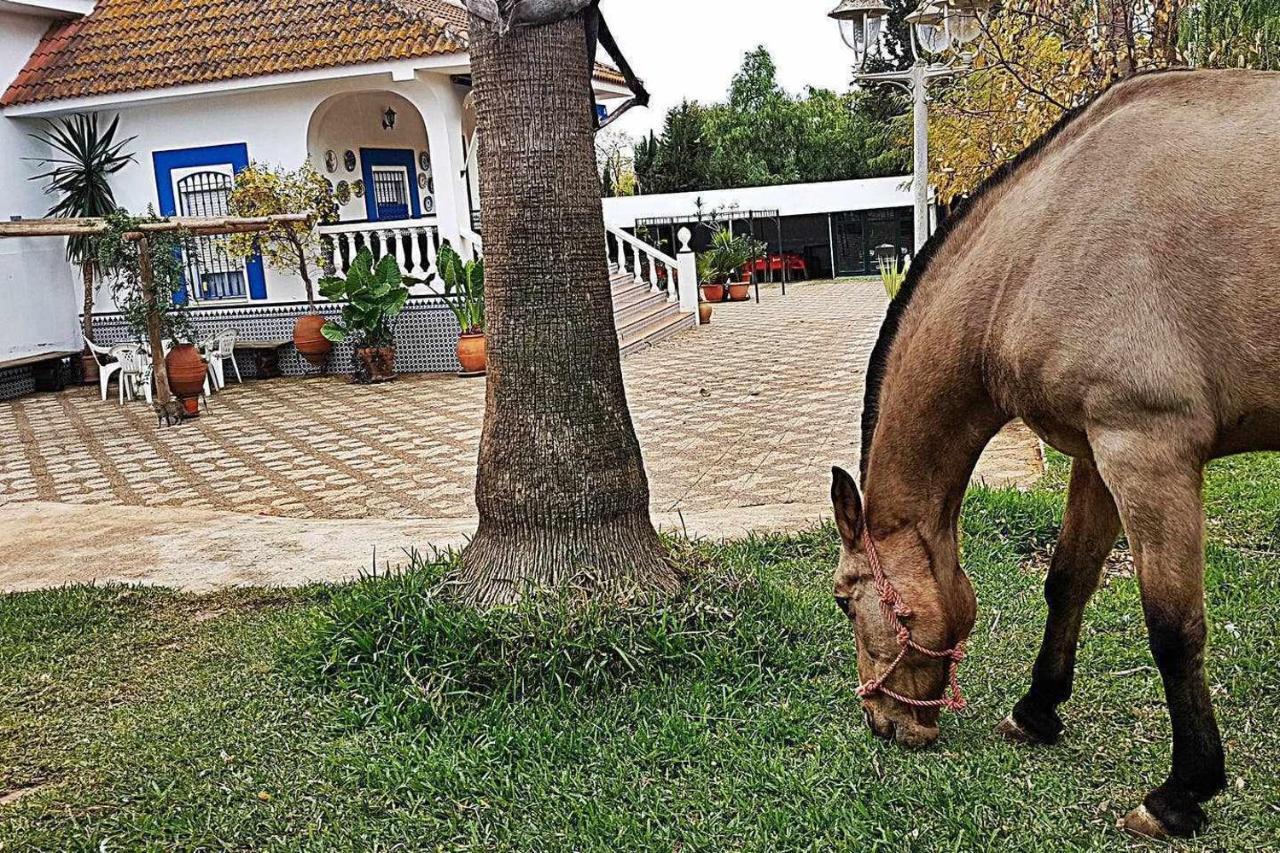 Real De Casa rural *