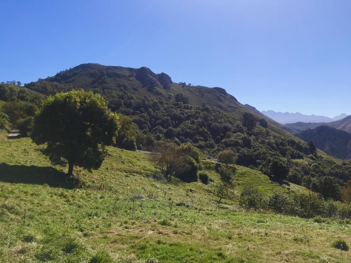 Casa Fuente De La Juventud Cangas *