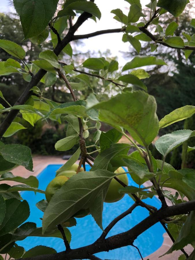 Casa Navalafuente-madrid Sierra Norte Holiday home Navalafuente