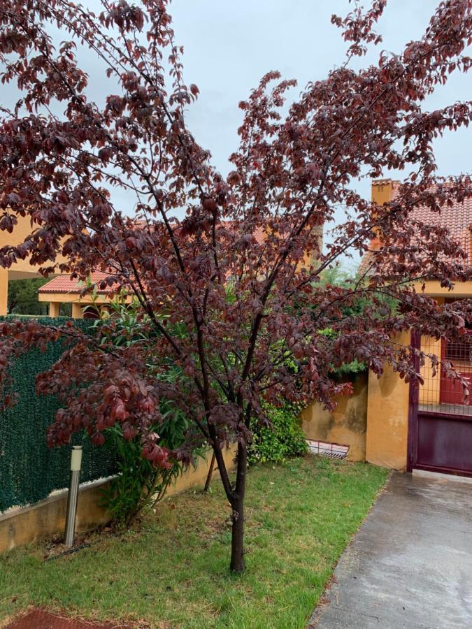 Casa Navalafuente-madrid Sierra Norte Holiday home