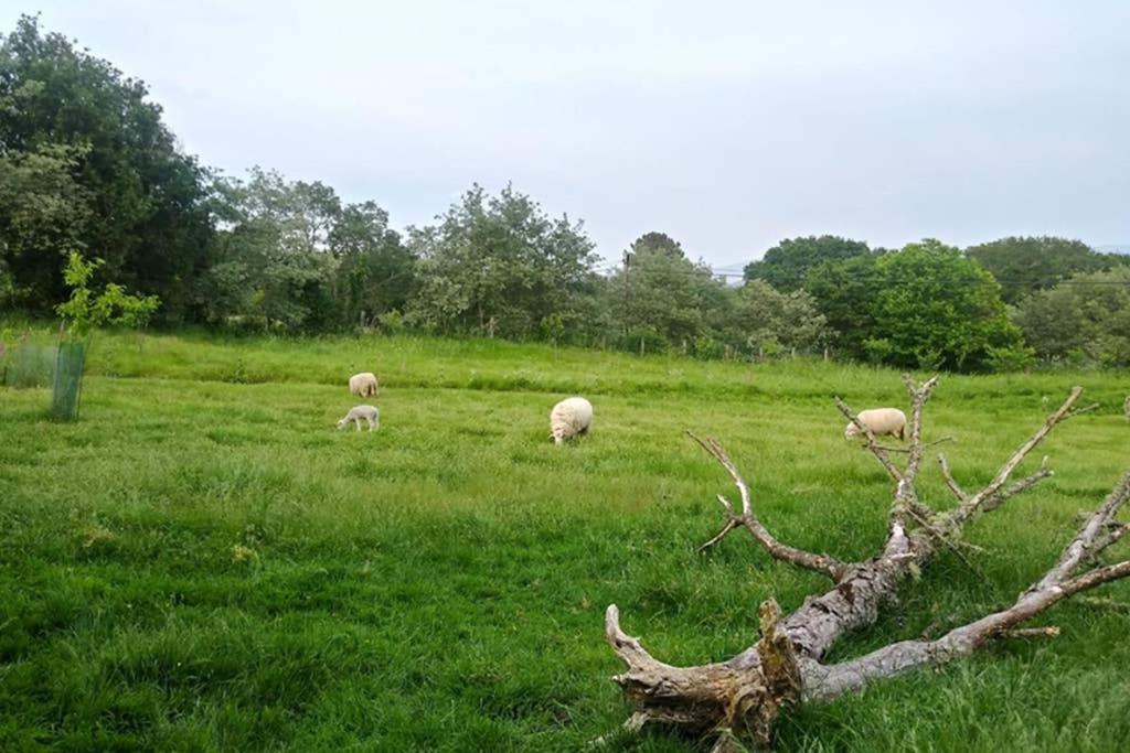 Сasa de vacaciones Casa A Rúa - Preciosa Casa En La Montaña Con Amplio Jardín Vilarino (A Paradanta)