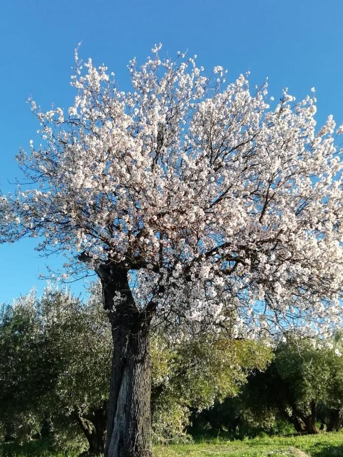 Сasa de vacaciones La Casona De