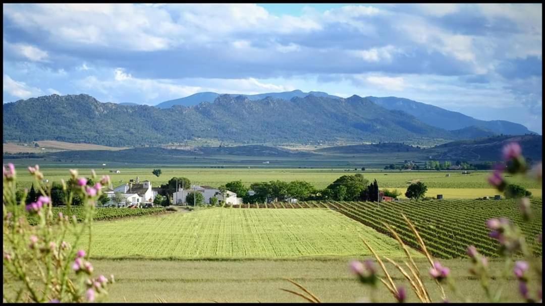 El Llano Quintanilla Yecla