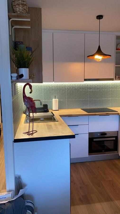 Apartamento Pinomar La Mata (Torrevieja)