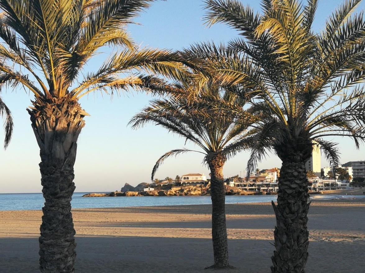 Paca * Javea