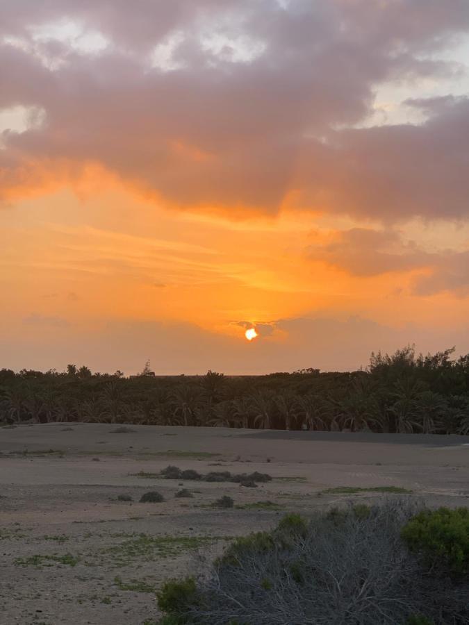 Solymar Calma Vacacional *