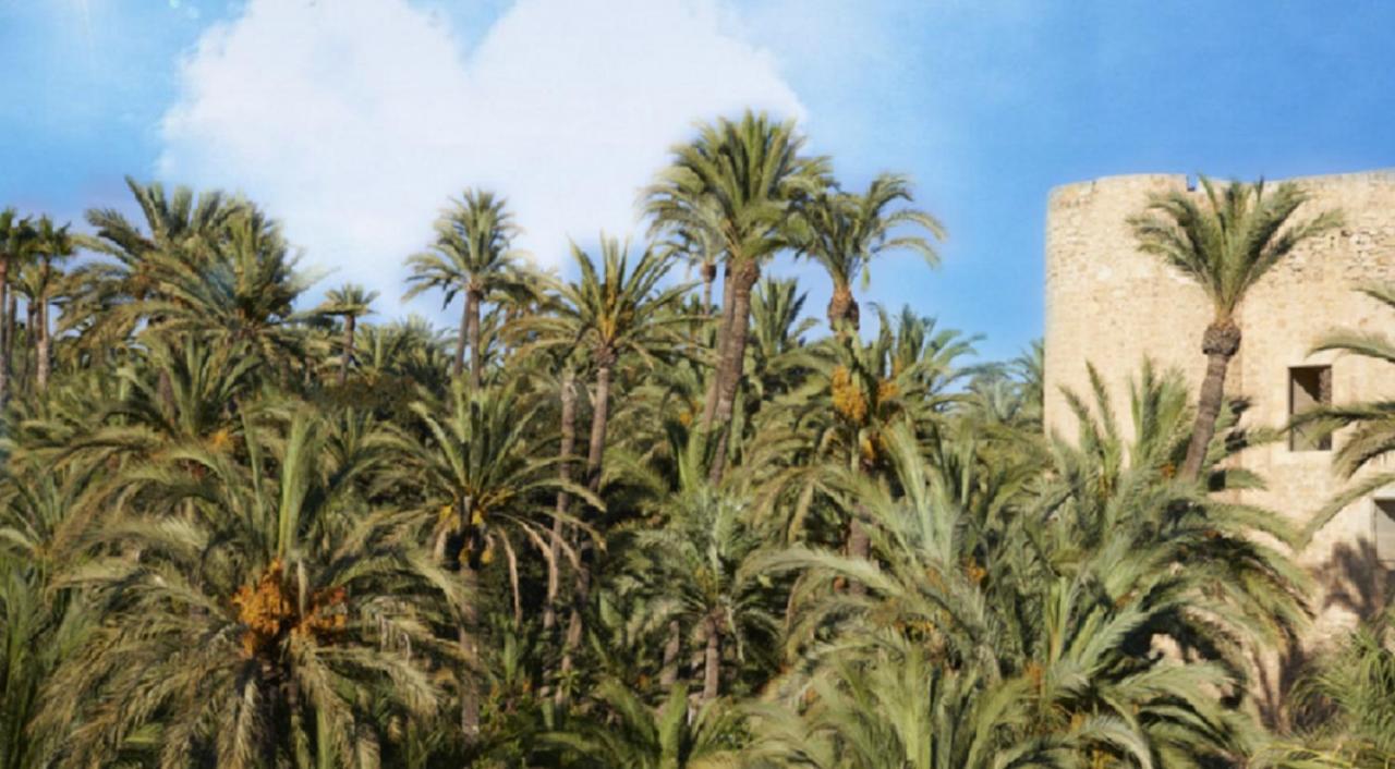 Apartamento Orihuela Beach *