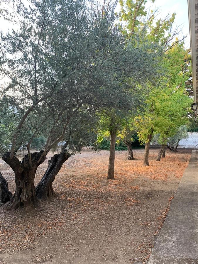 Caseria San Jose Holiday home