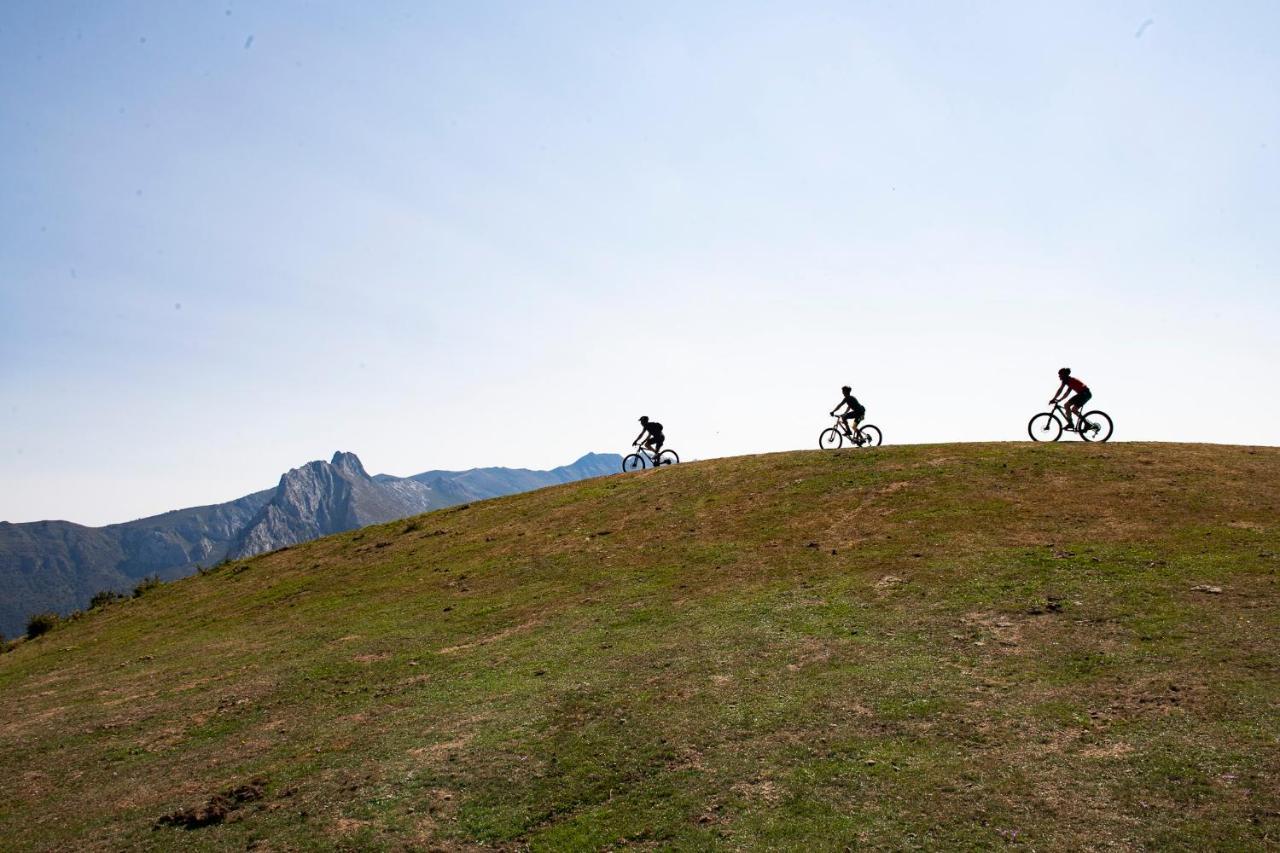 Apartamento Picos De Europa Colio