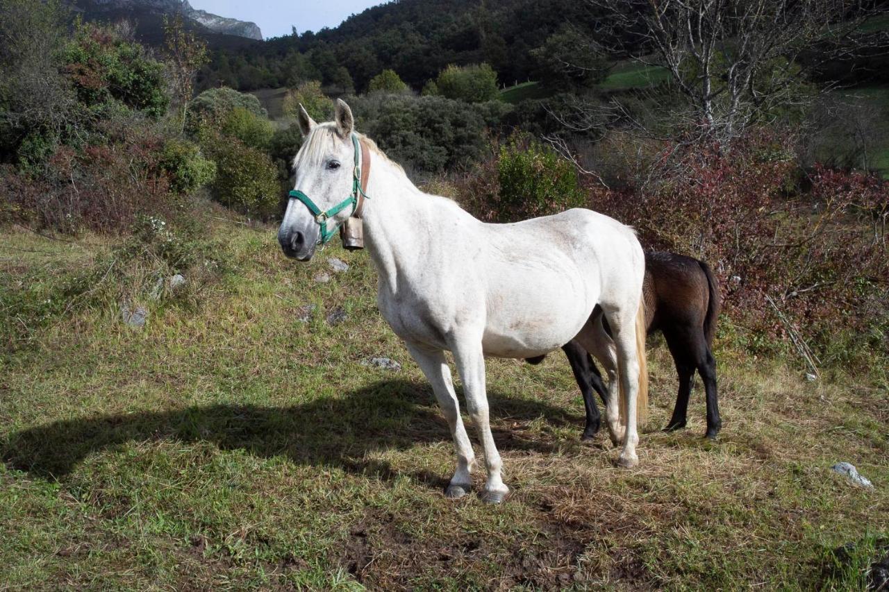 Picos De Europa Apartamento