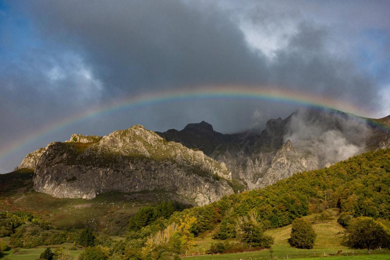 Picos De Europa Colio