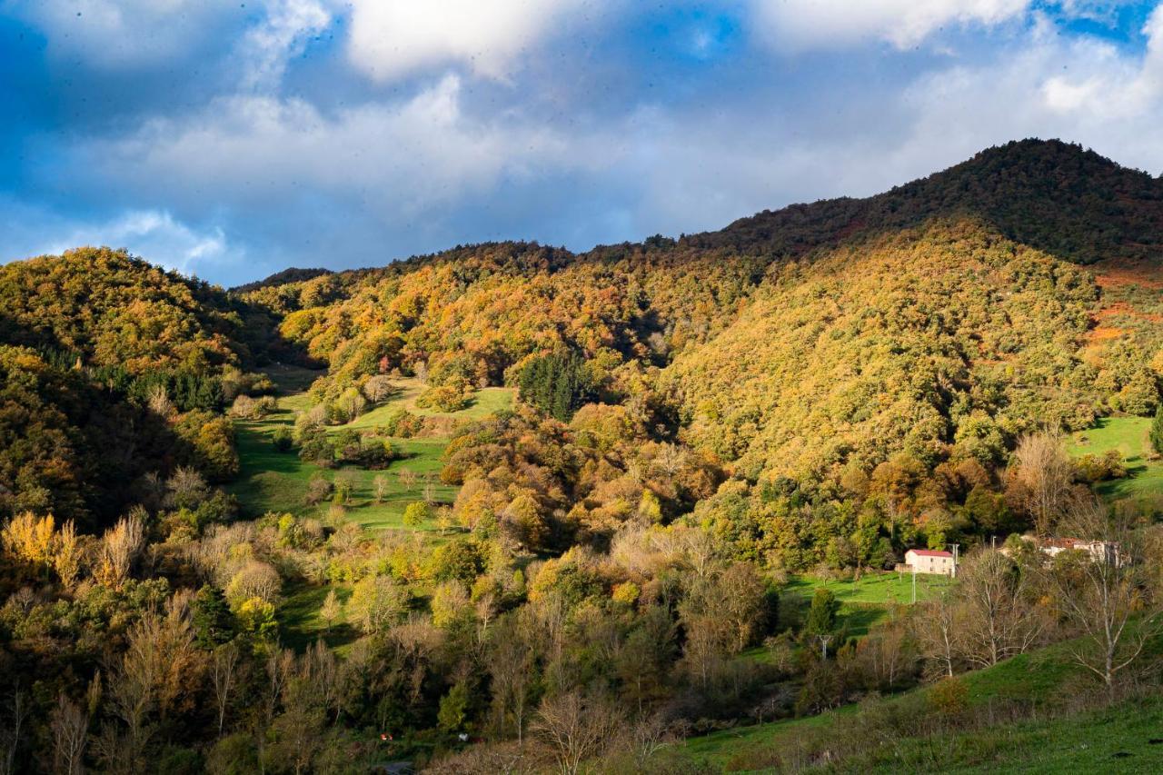 Picos De Europa * Colio