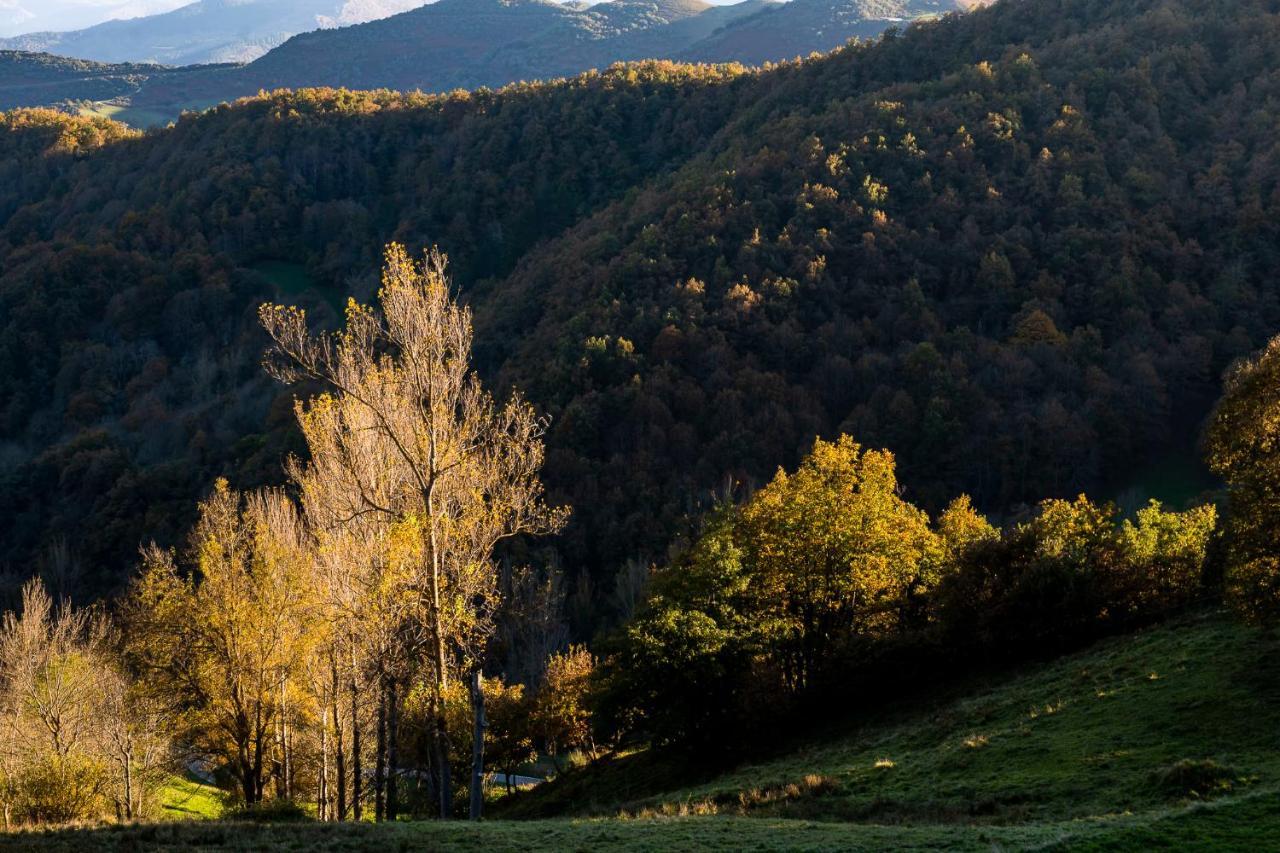 Apartamento Picos De Europa Colio